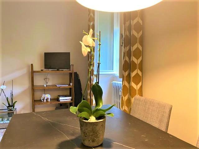 Castro Chic House Casa vacanze Roma